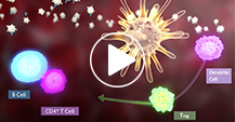 Video thumbnail image for MOA video