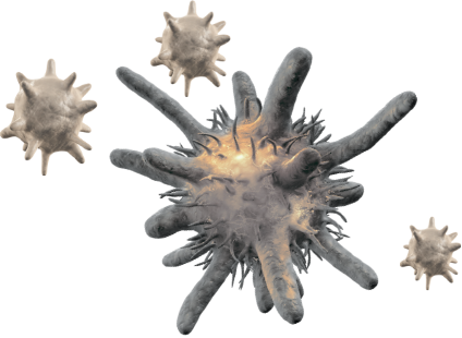 Antibody-coated platelet illustration