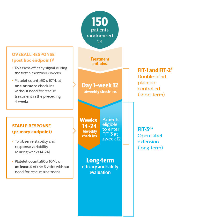 Diagram of clinical trial design